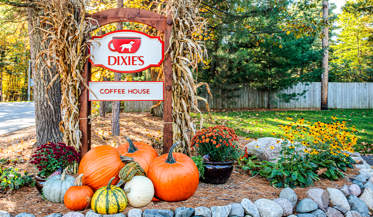 Signs of fall.