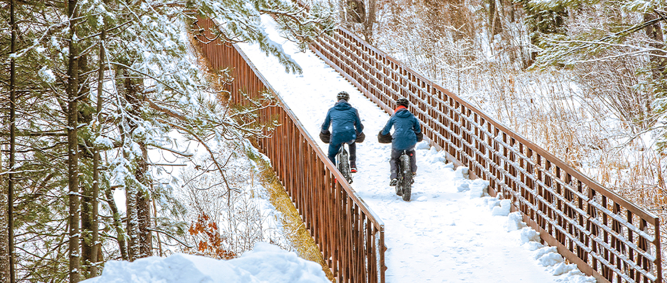 A scenic bridge spans Rice Creek along the paved bike trail.