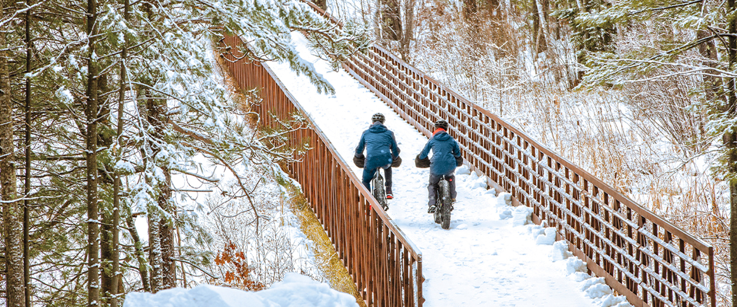 A scenic bridge spans Rice Creek along the paved bike trail.