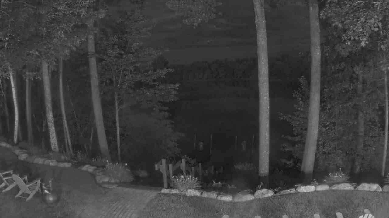 Dixie's Webcam